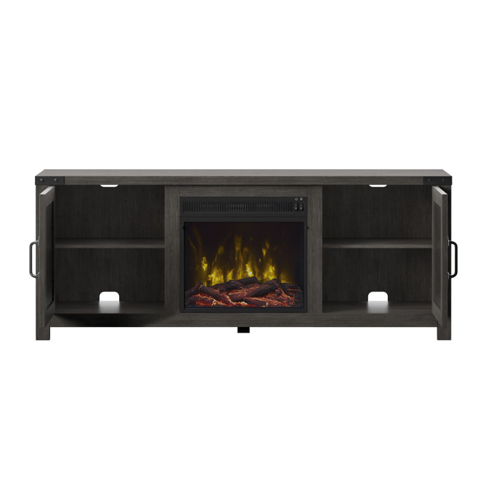 Laurel Foundry Modern Farmhouse Guadalupe TV Stand for TVs up to 65